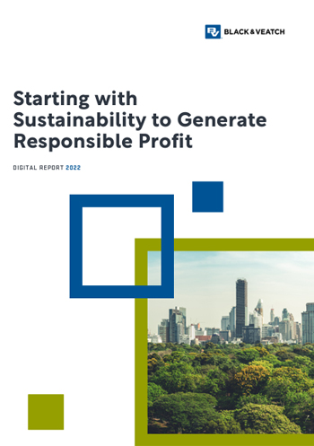 Sustainability to Generate Responsible Profit download preview image