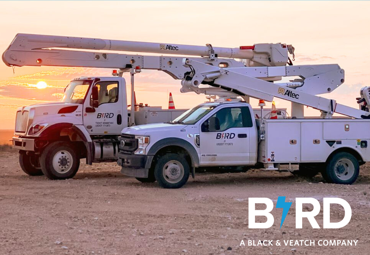 Bird Electric Inc Work Trucks