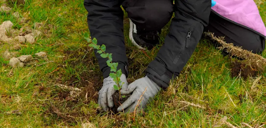 Aldeias Suberprotegidas Monção
