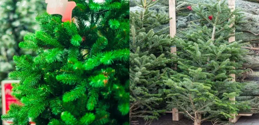 árvore de natal de plástico e natural