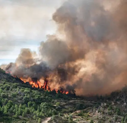 Grande incêndio numa área florestal.