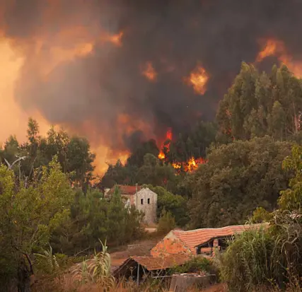 Floresta e casa a arder num incêndio rural.
