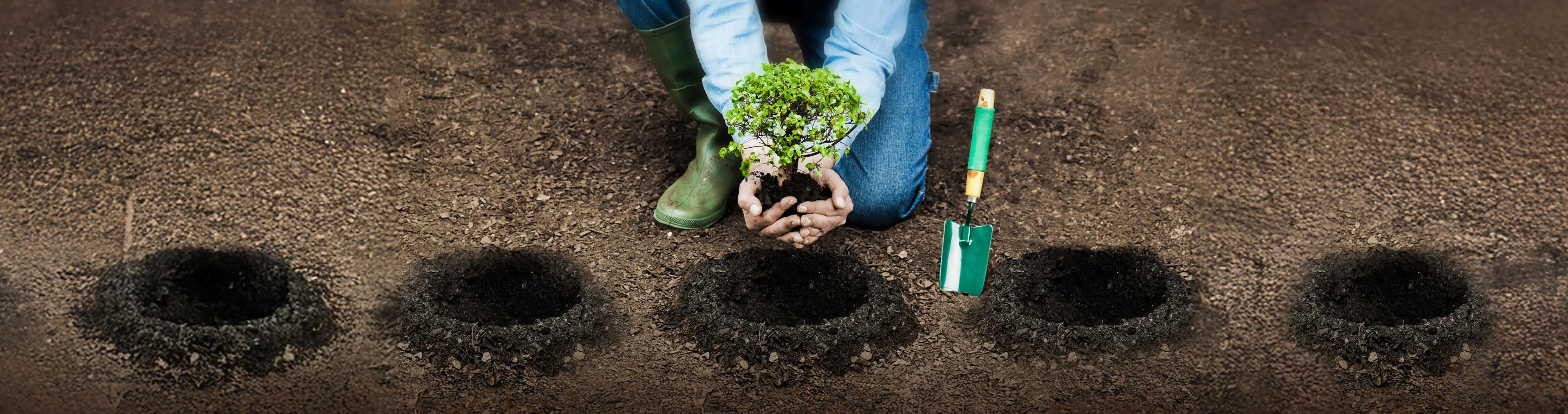 Consumidor planta árvores no Dia da Sustentabilidade.