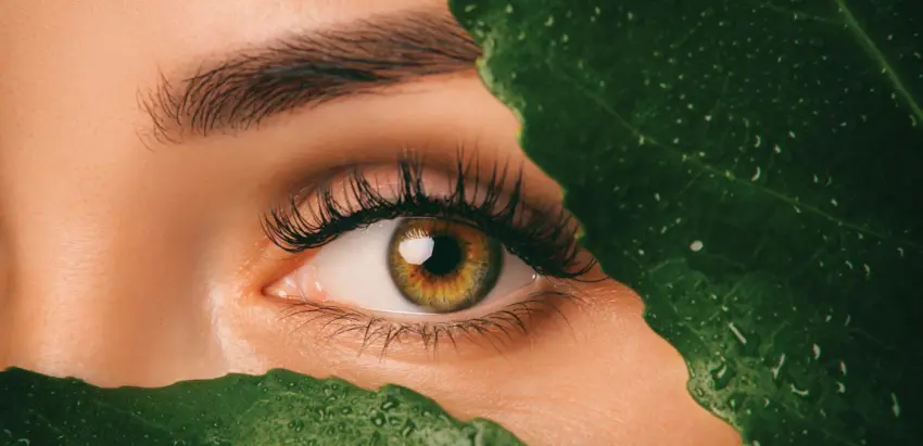Pormenor de olho de mulher com duas folhas com gotas de água
