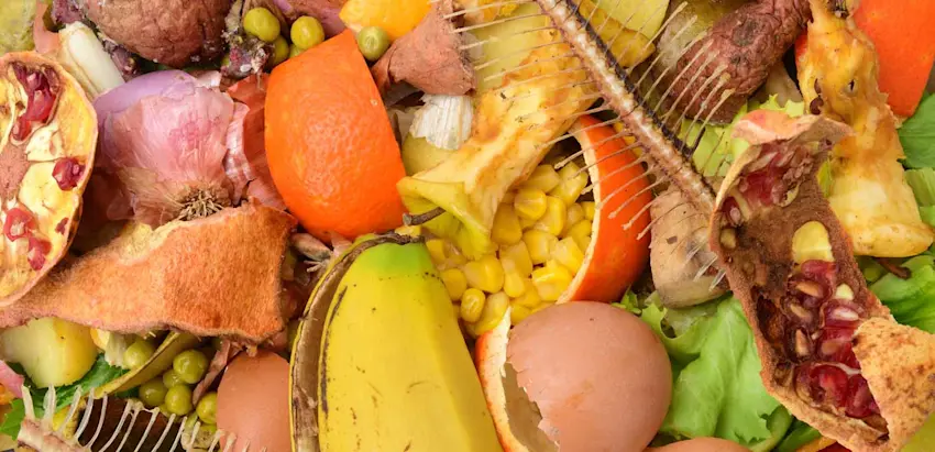 Desperdício alimentar
