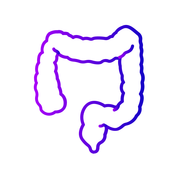 Icon for Colon category