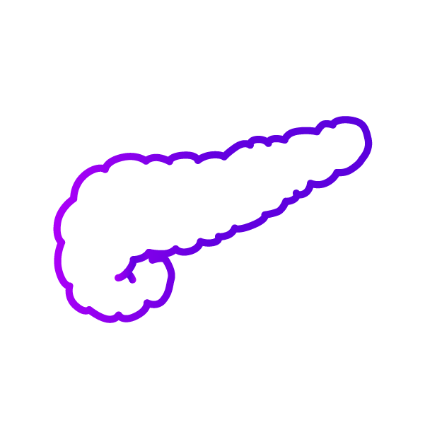 Icon for Pancreas category