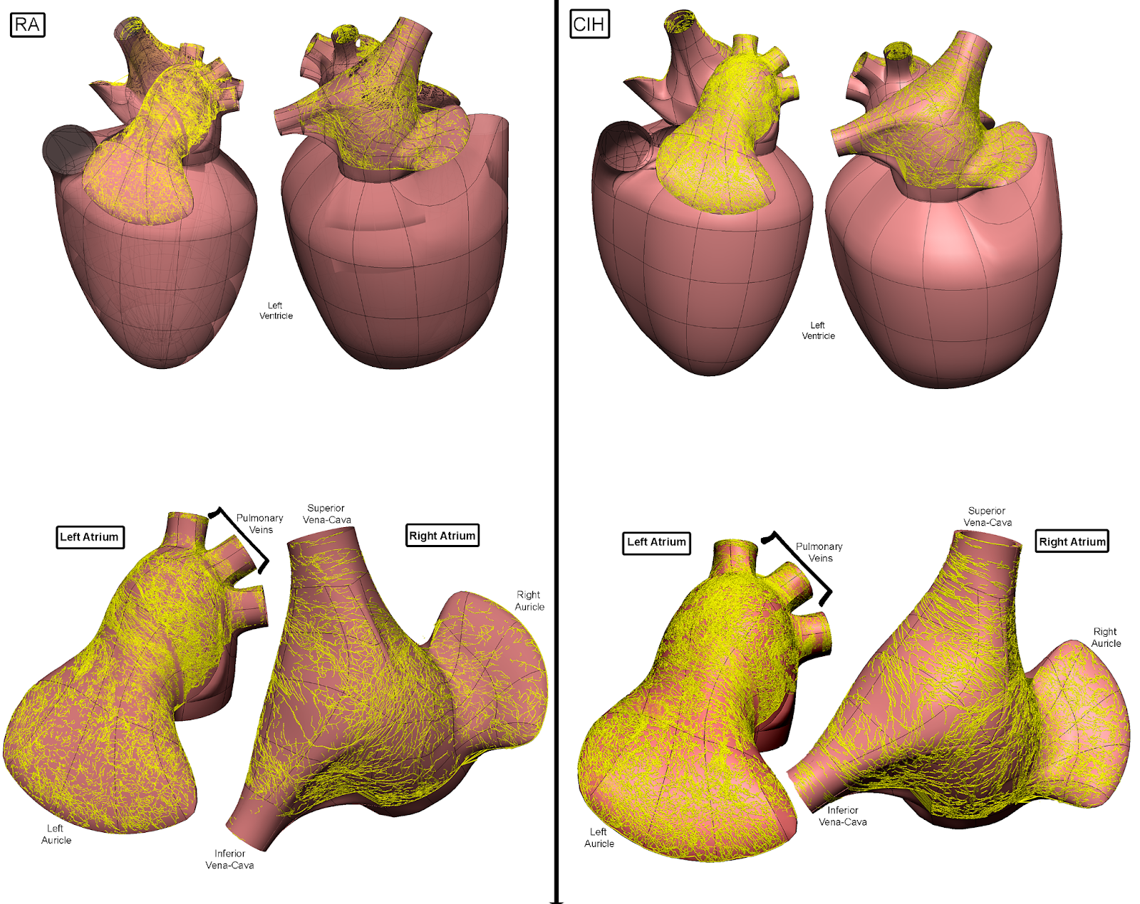 Mapping the impact of chronic intermittent hypoxia… figure 1