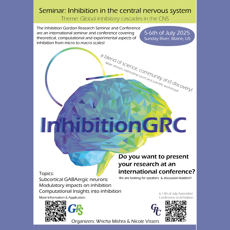 Global Inhibitory Cascades in the CNS July 2024