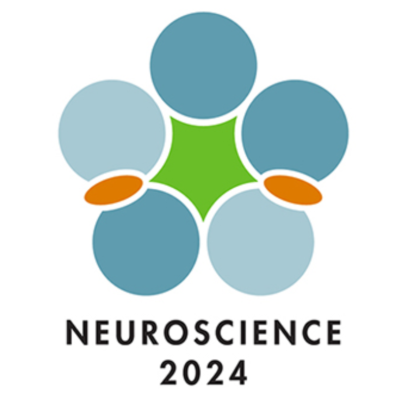 SfN 2024 Logo