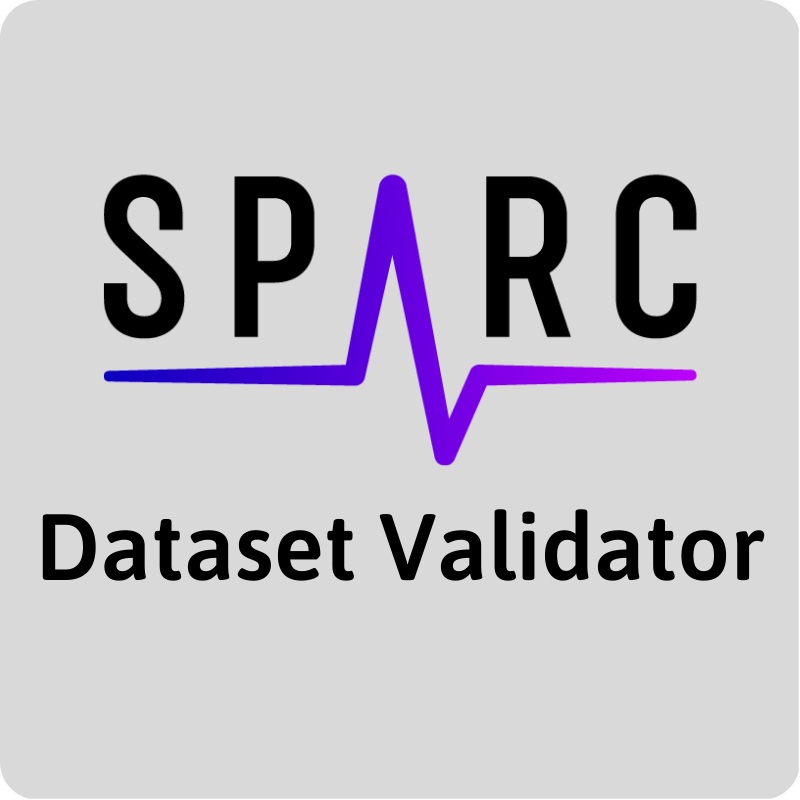 Dataset Validator (1)