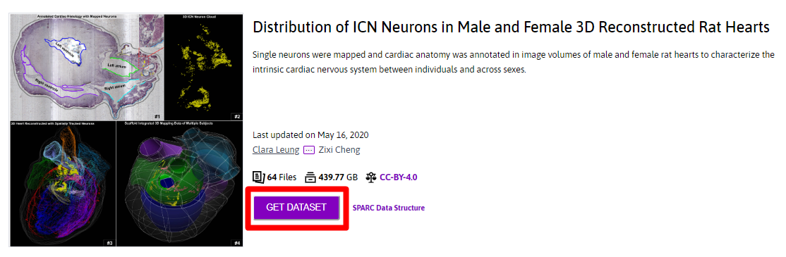 Navigating SPARC Datasets