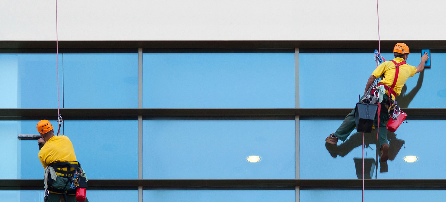 Window Washing Contractor