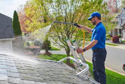 Understanding the Real Cost of Roof Cleaning