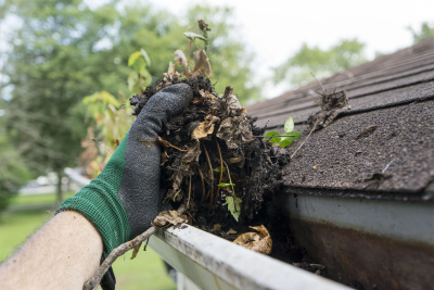 Gutter Cleaning Services: The Importance of Keeping Your Gutters in Top Shape