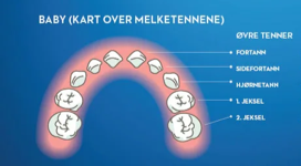 Melketenner barn – når kommer tennene, og hvordan ta vare på melketenner?