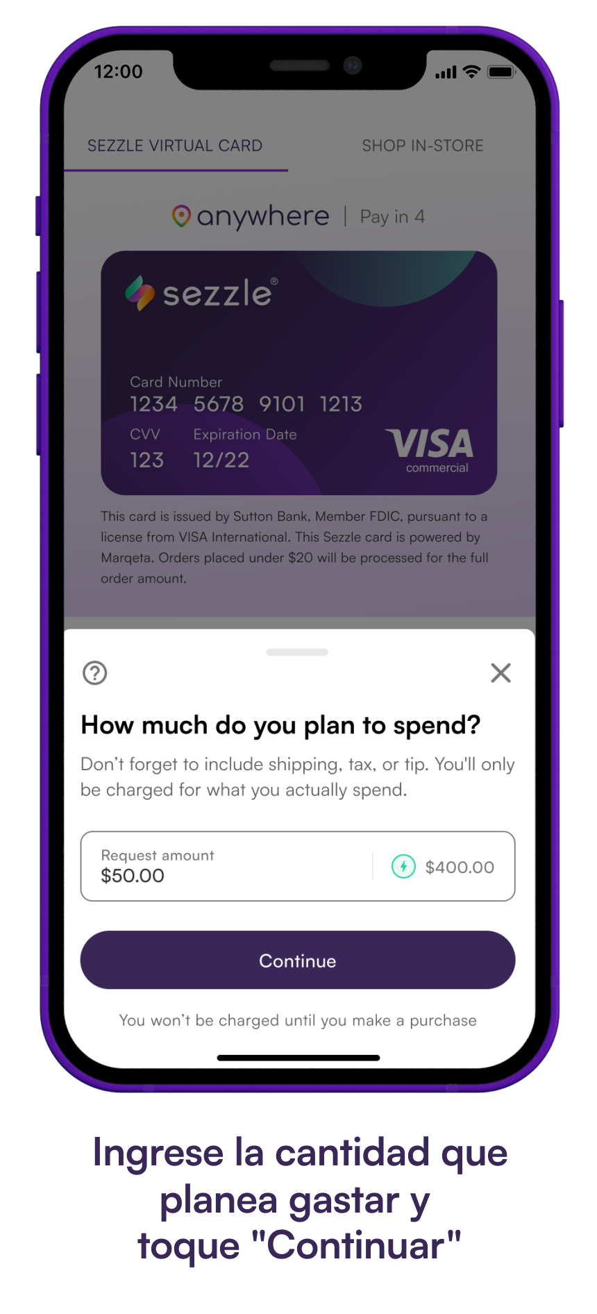 Phone screen showing the make a purchase request step. "Enter the amount you plan to spend and tap 'Continue'"