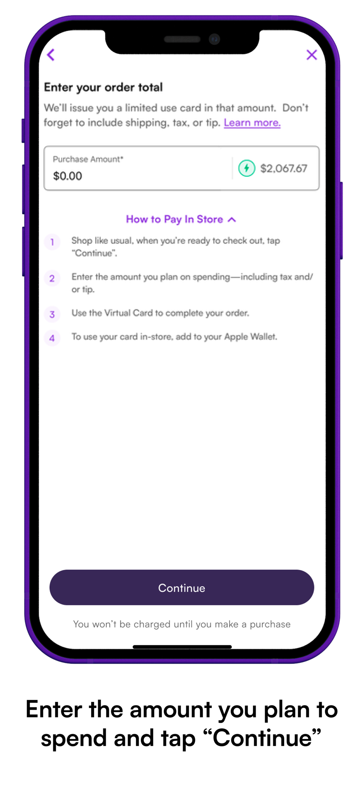 Phone screen showing the make a purchase request step. "Enter the amount you plan to spend and tap 'Continue'"