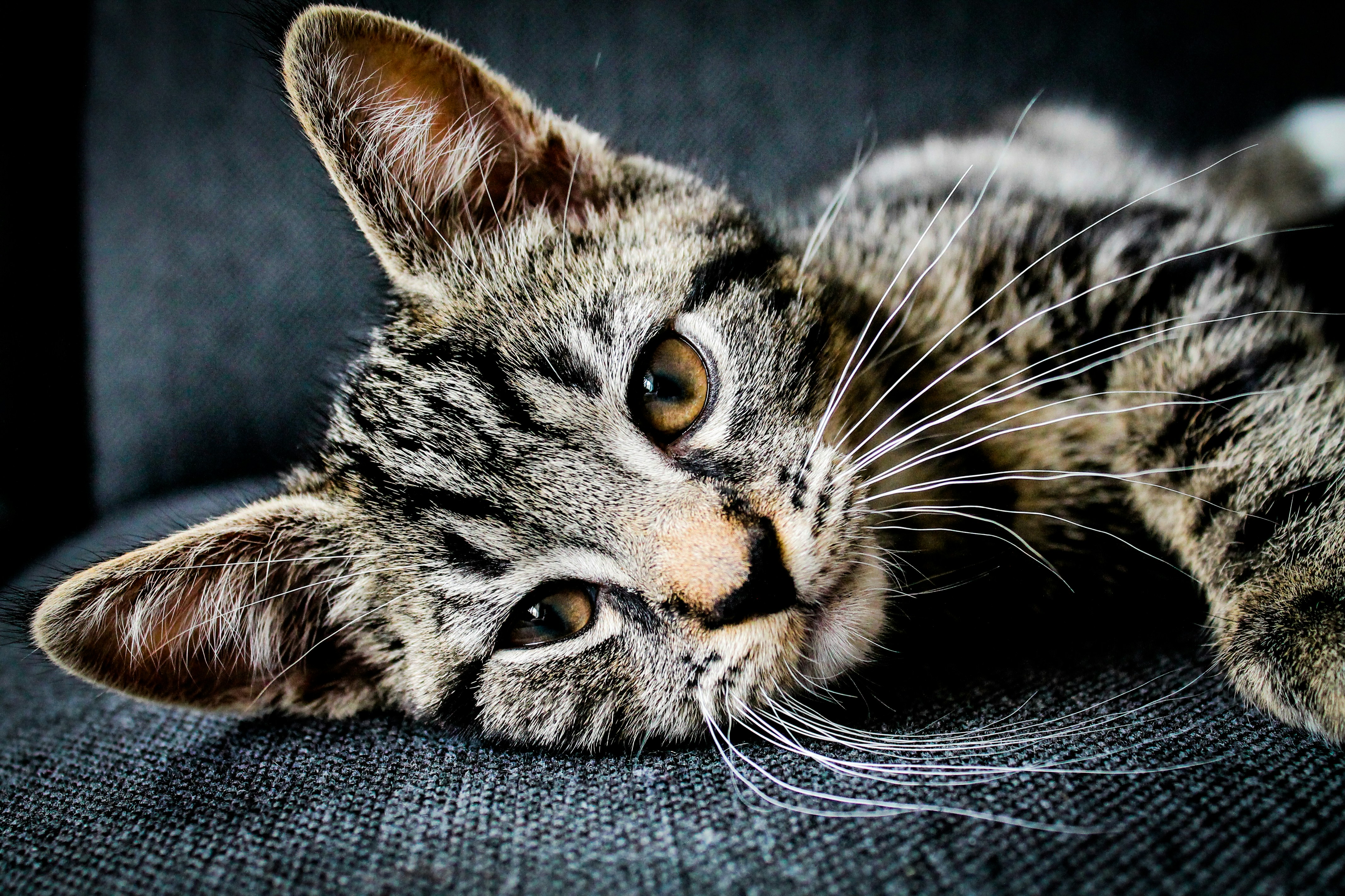 erik-jan-leusink-tzzpfLiRPlA-unsplash