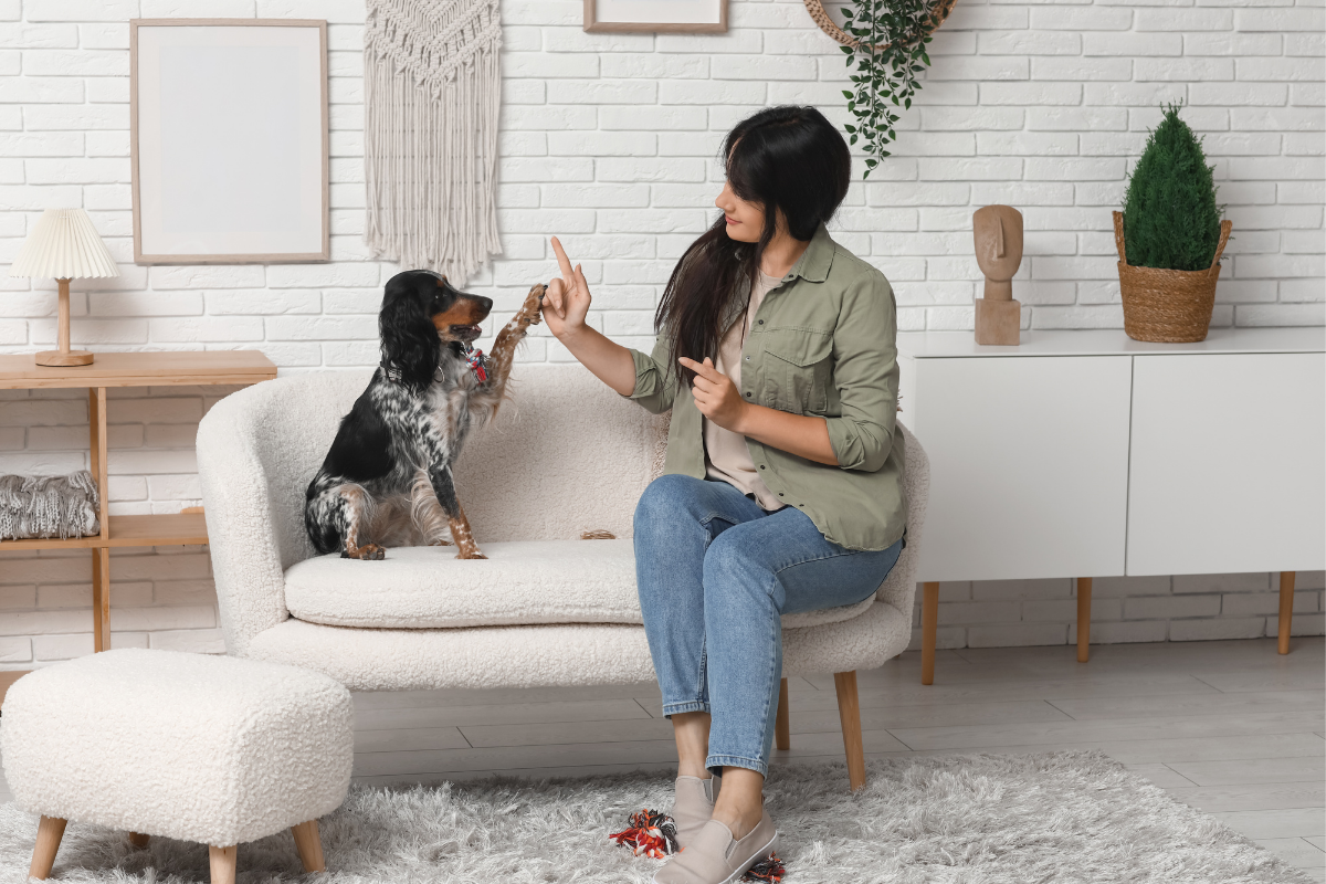 Dog training tips