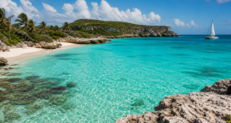 Tropical Cove
