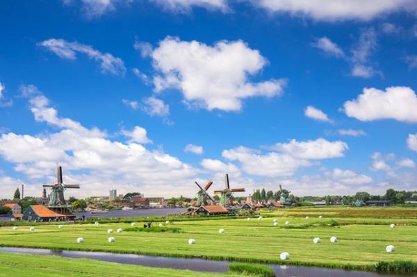 gate-1-aardy-windmills-holland-farm