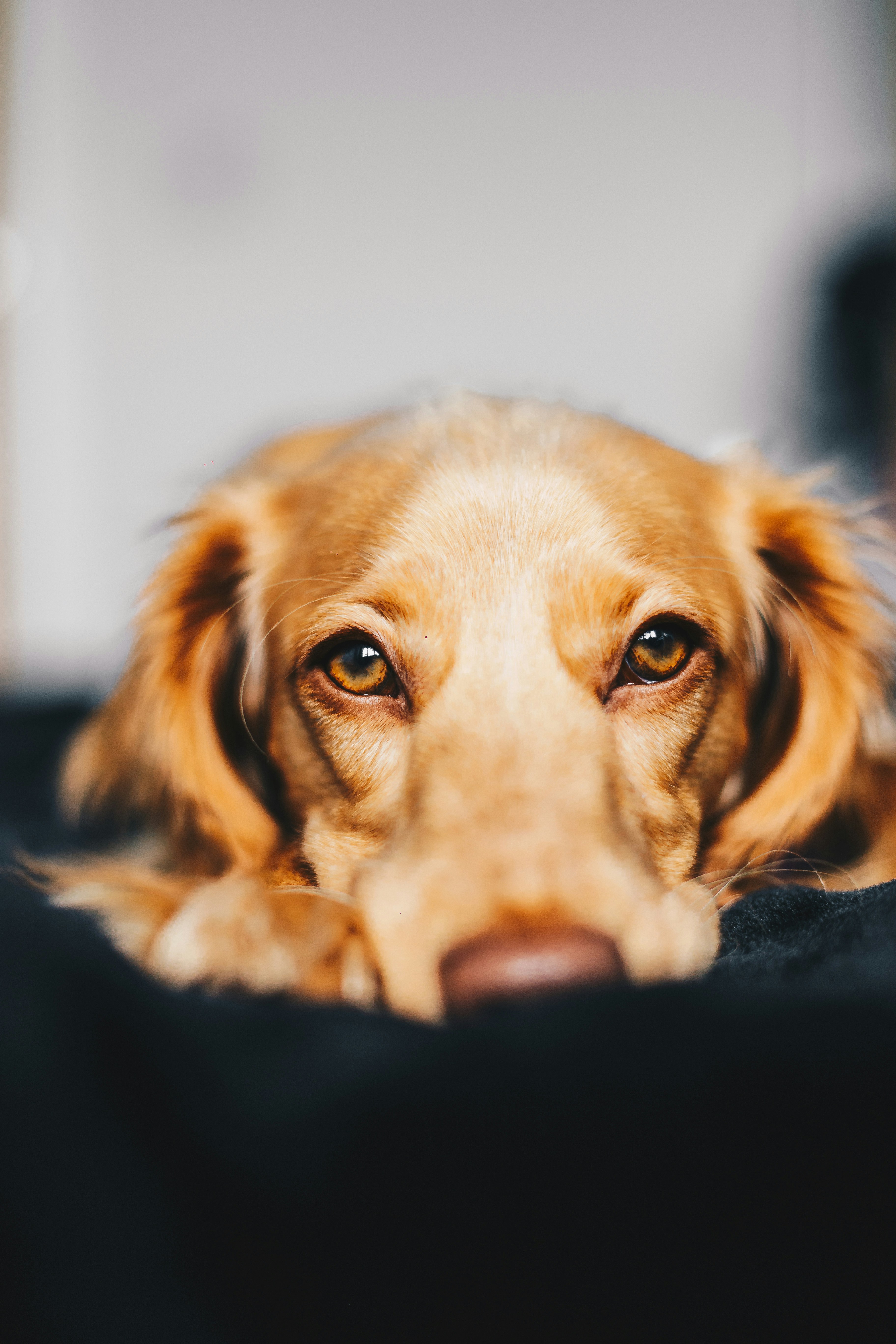 ryan-walton-uKtvYMGe8ls-unsplash