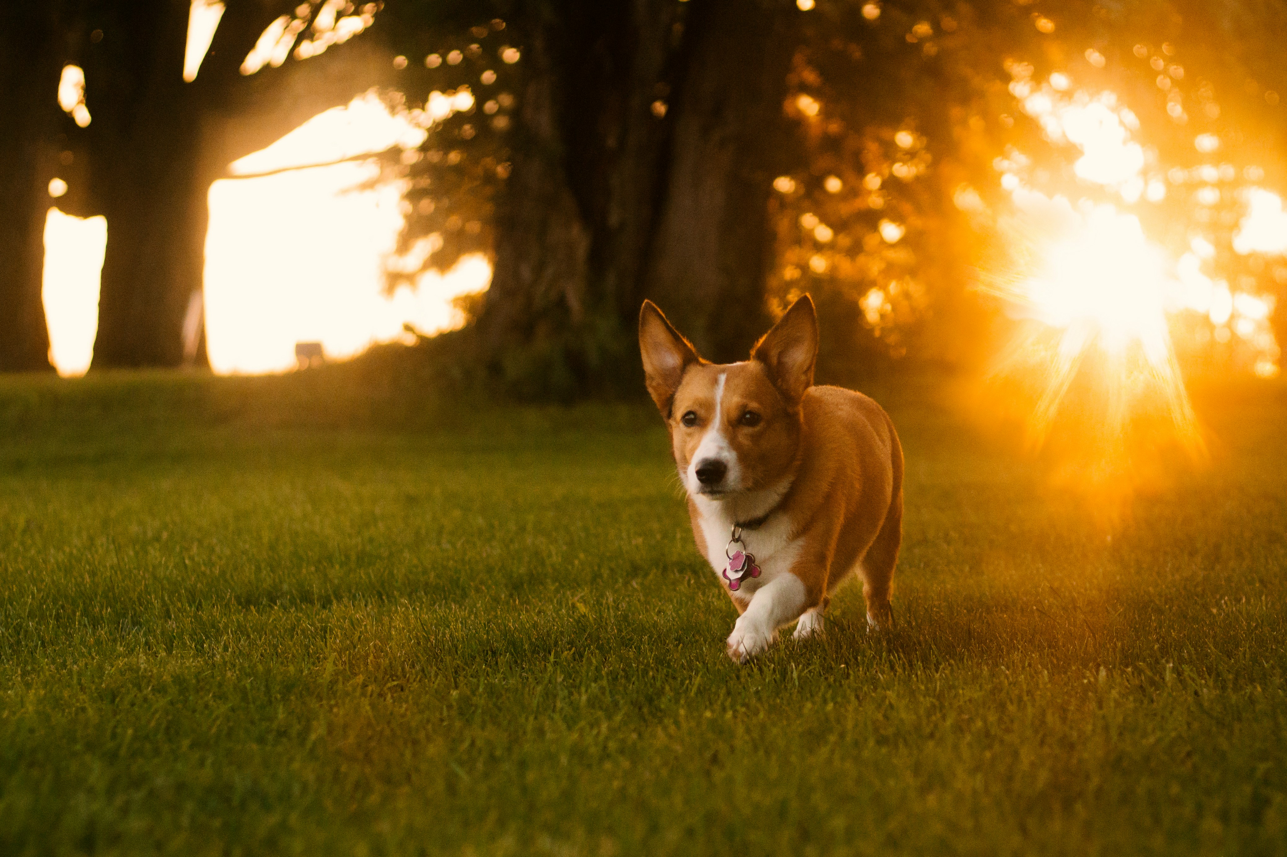 jacob-van-blarcom-lkzjENdWgd8-unsplash