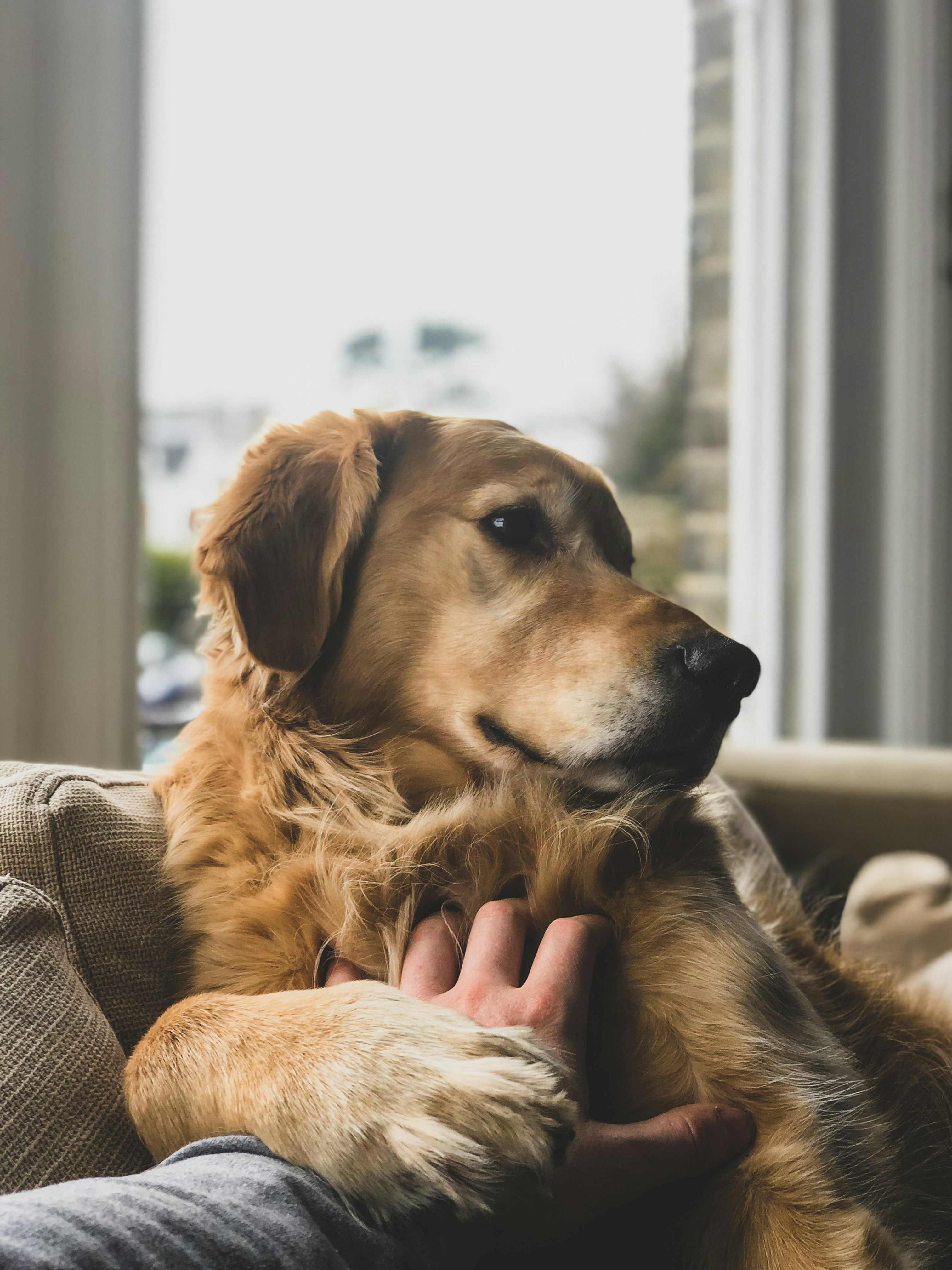 jack-brind-rmvG_oHzCNA-unsplash