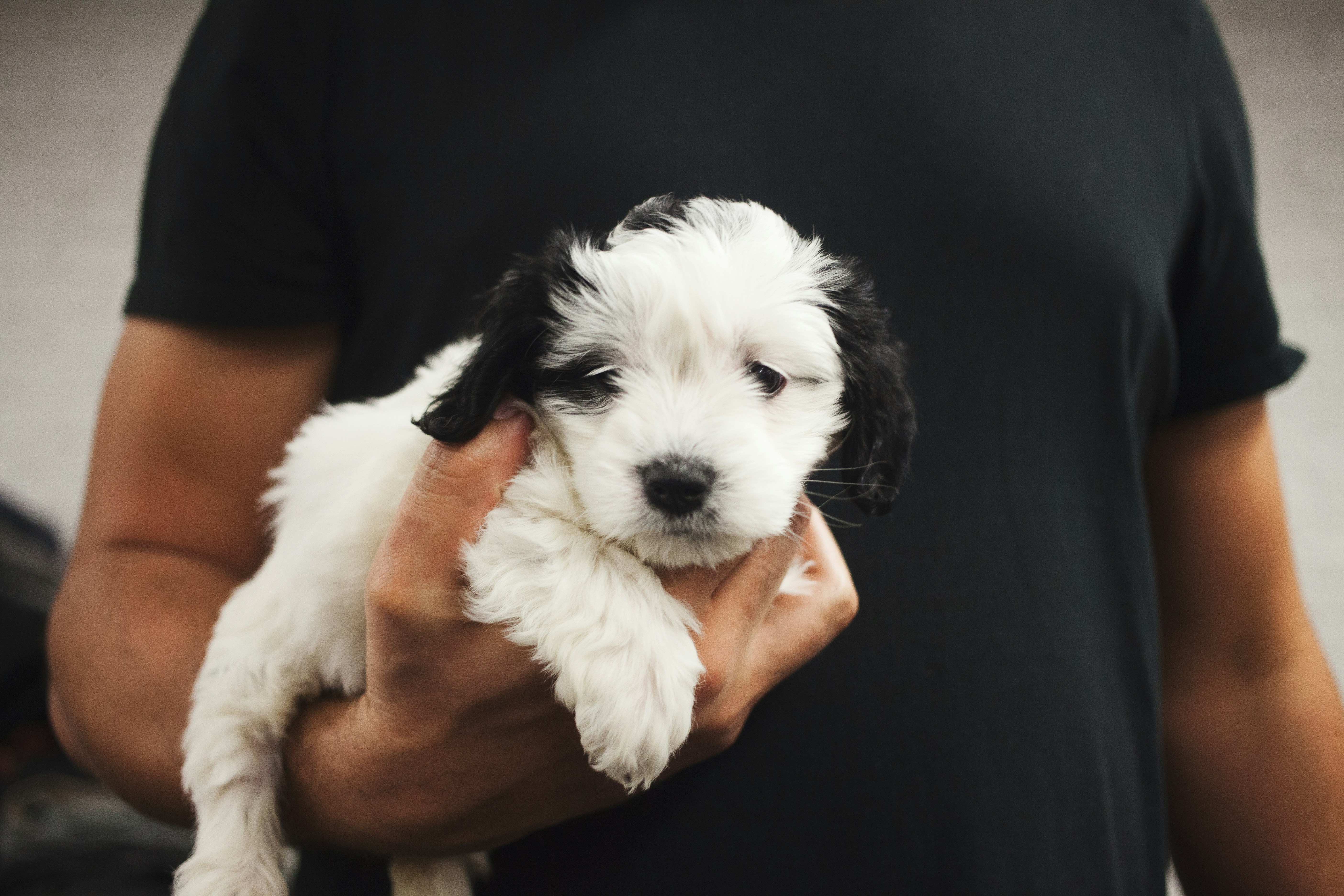 chris-becker-2h5eBF8aRhM-unsplash