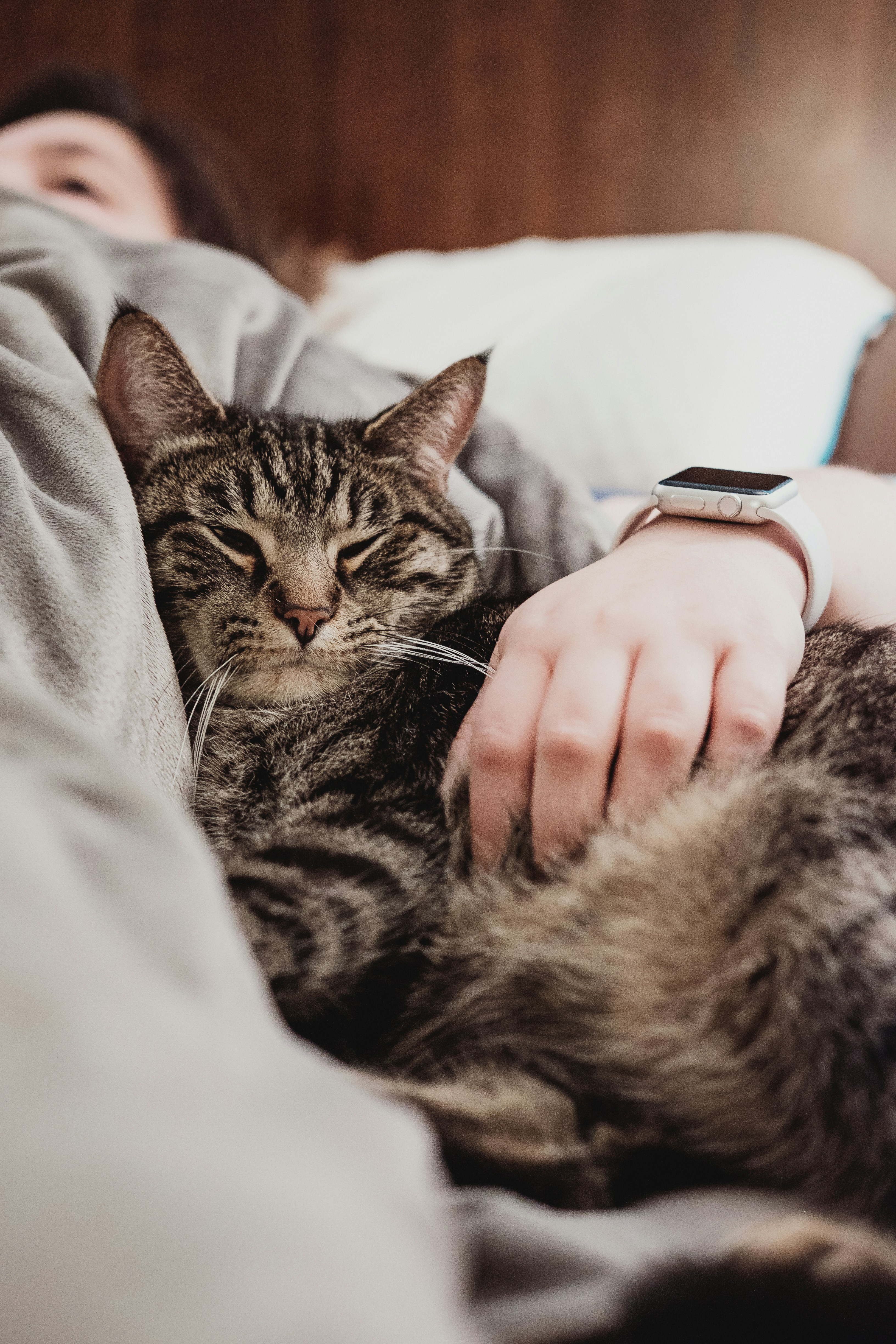 chris‑abney-mAsKA0jFfeQ-unsplash