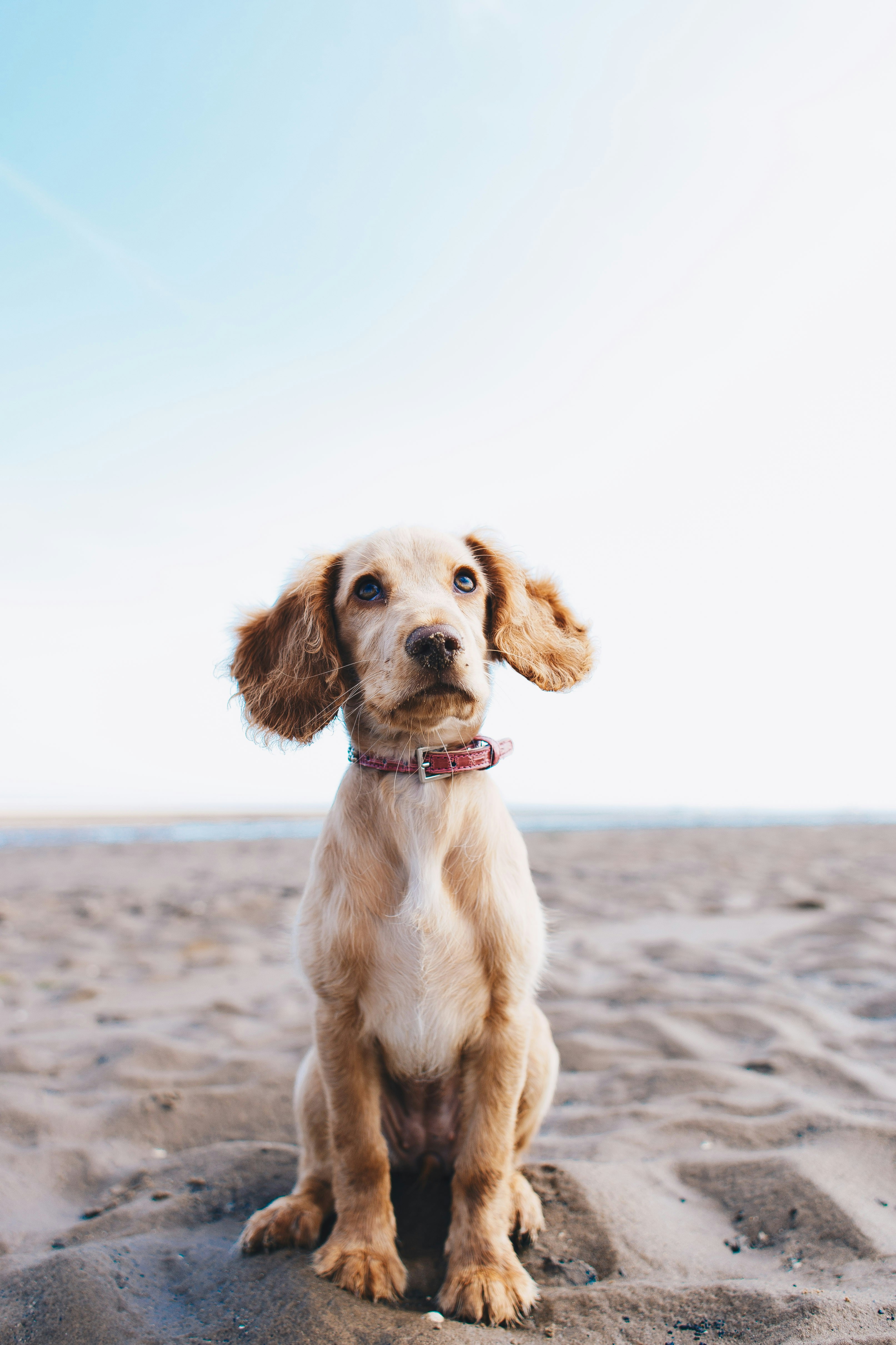 ryan-walton-AbNO2iejoXA-unsplash