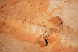 Close-up of dry red clay soil with natural texture.
