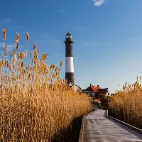 Boardwalk through tall reeds leading to a black-and-white lighthouse under a clear blue sky.