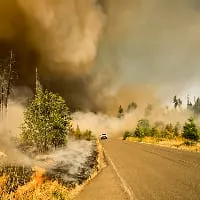 Forest wildfire with thick smoke rising near a road and dry vegetation.