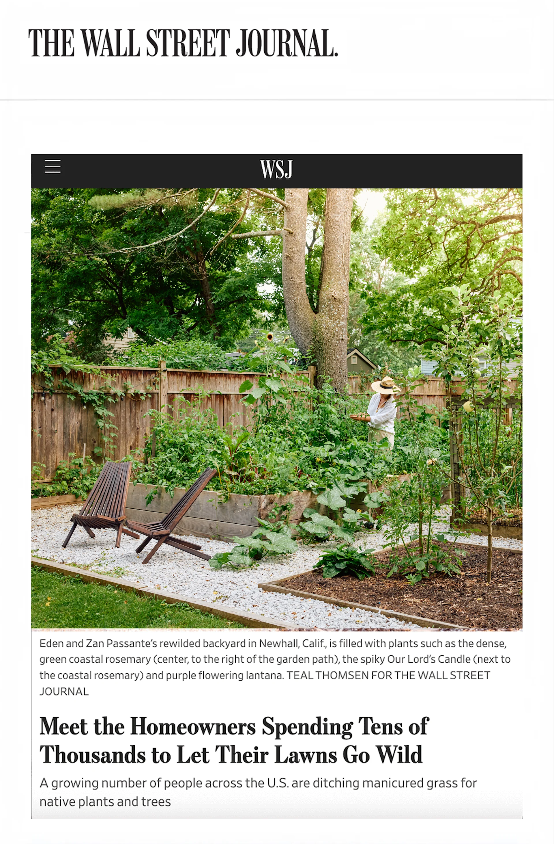 WSJ Press Image