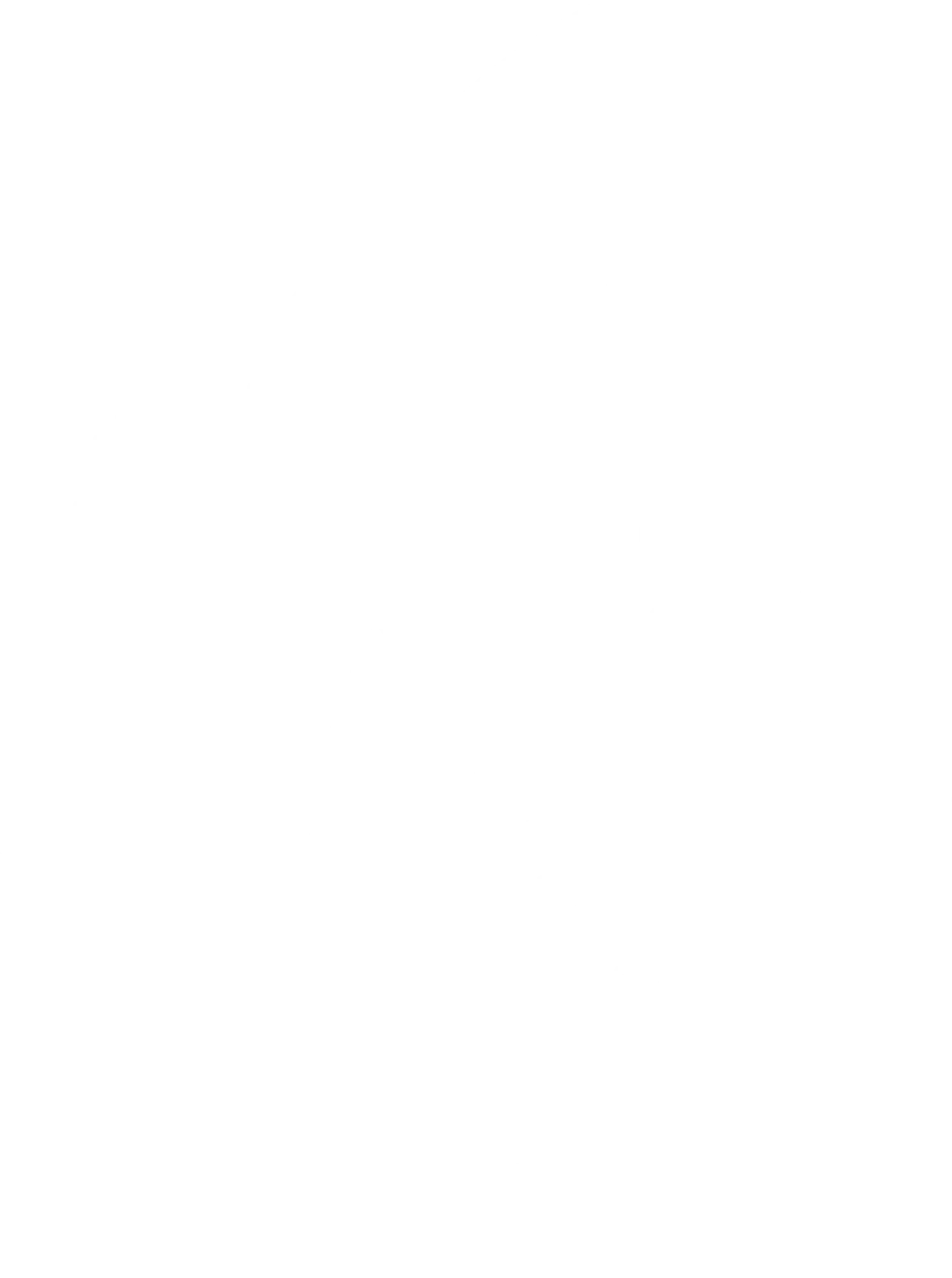 DAT-BWW Flame Solid White