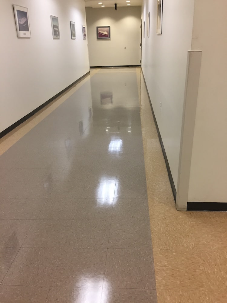 freshly cleaned hallway floor.