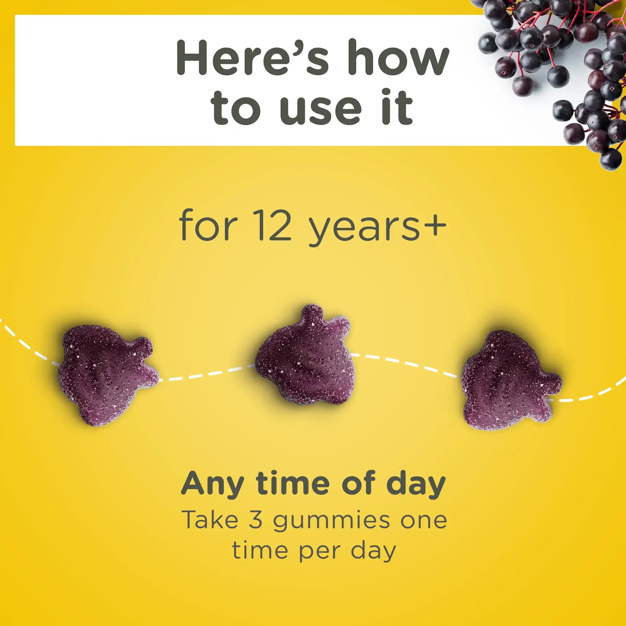 Elderberry Immune Support Gummy