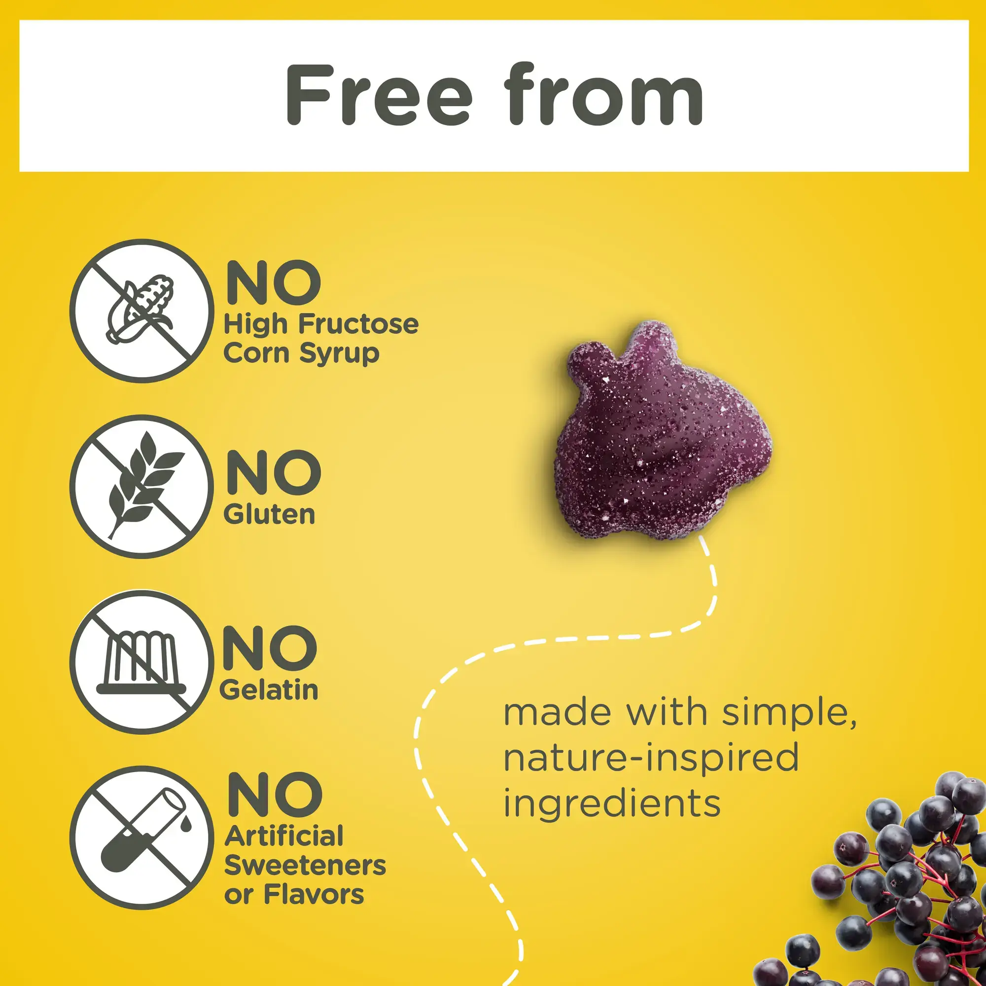 Elderberry Immune Support Gummy