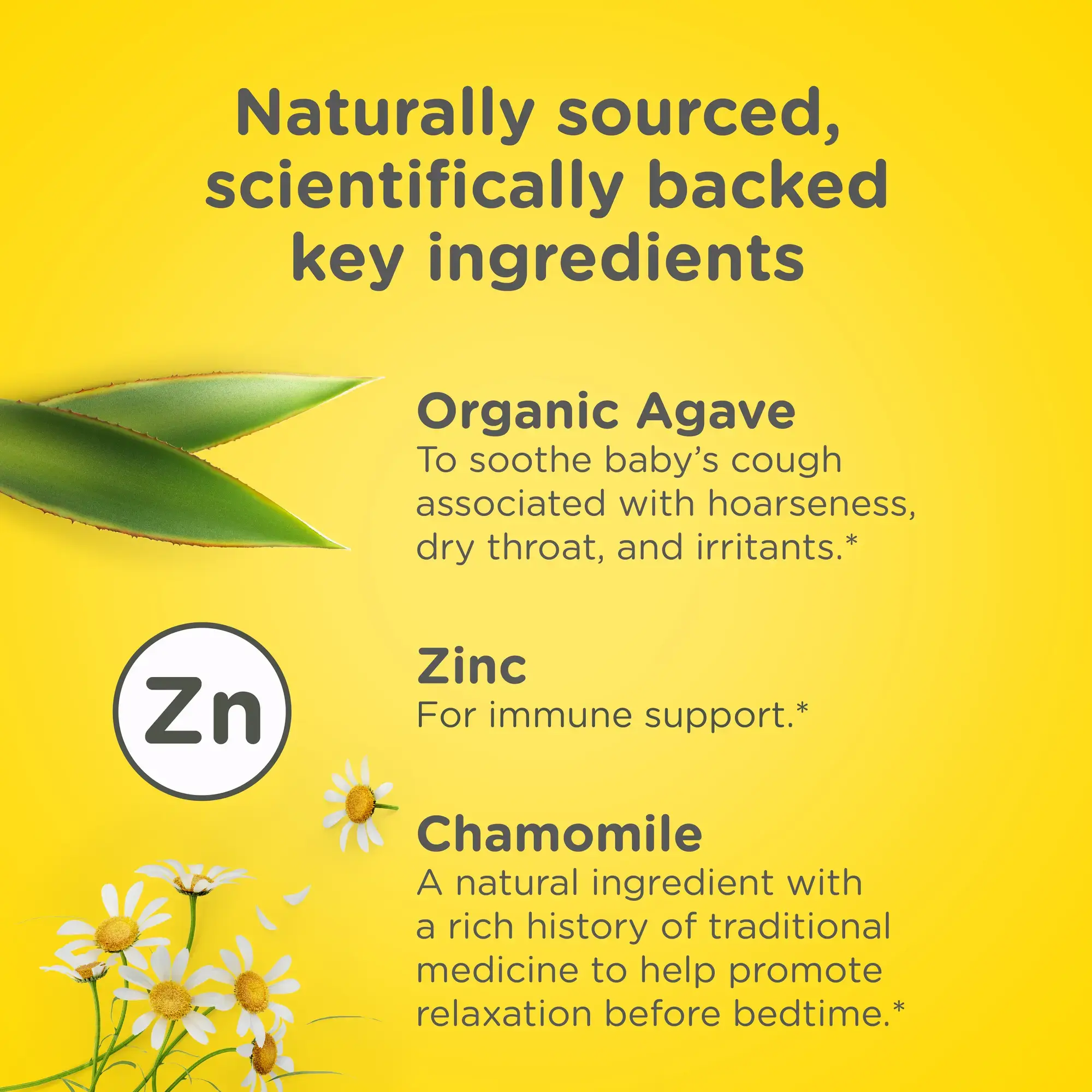 Baby Nighttime Cough Syrup + Immune with Agave
