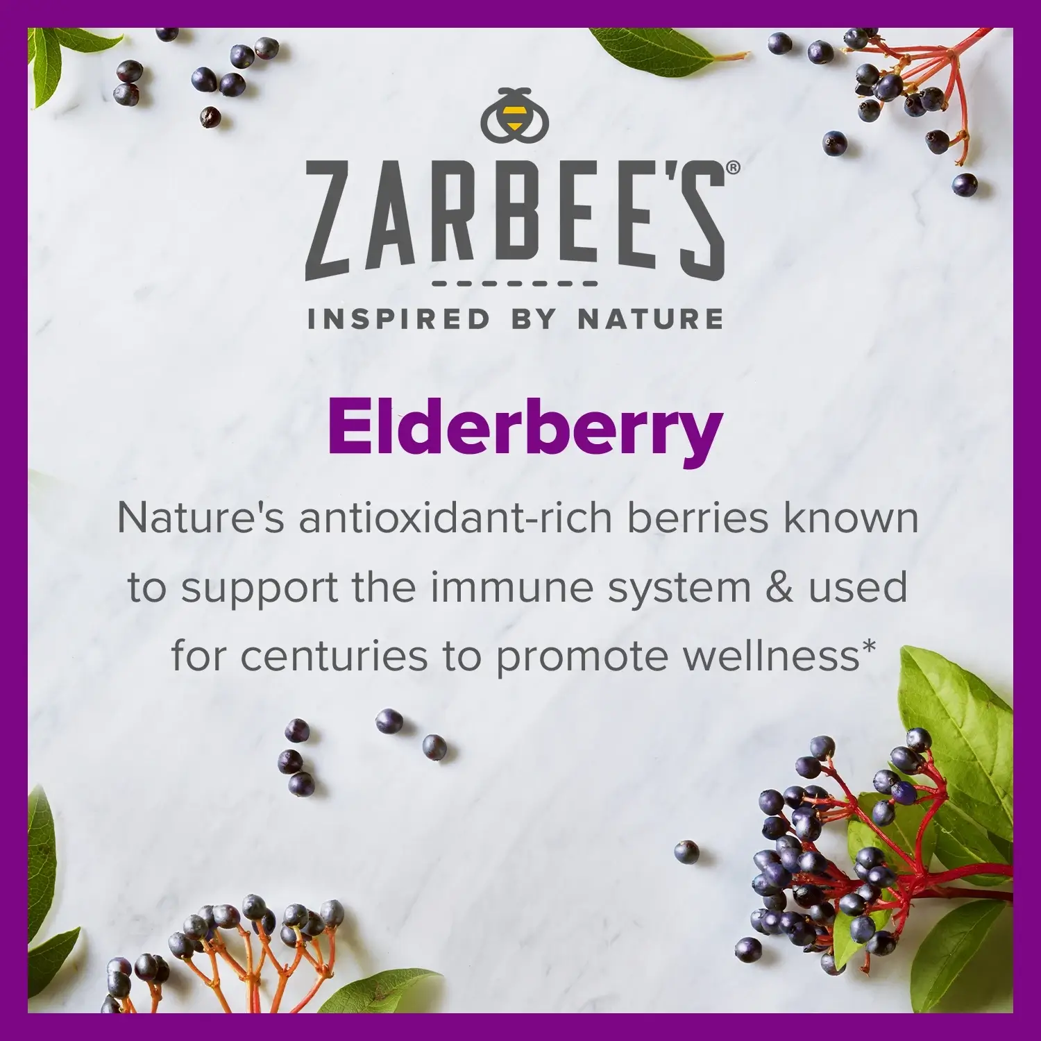 Elderberry Immune Support Gummy