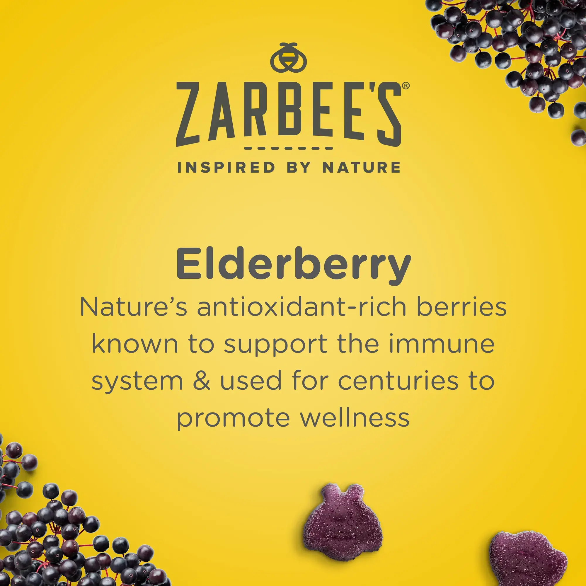 Elderberry Immune Support Gummy