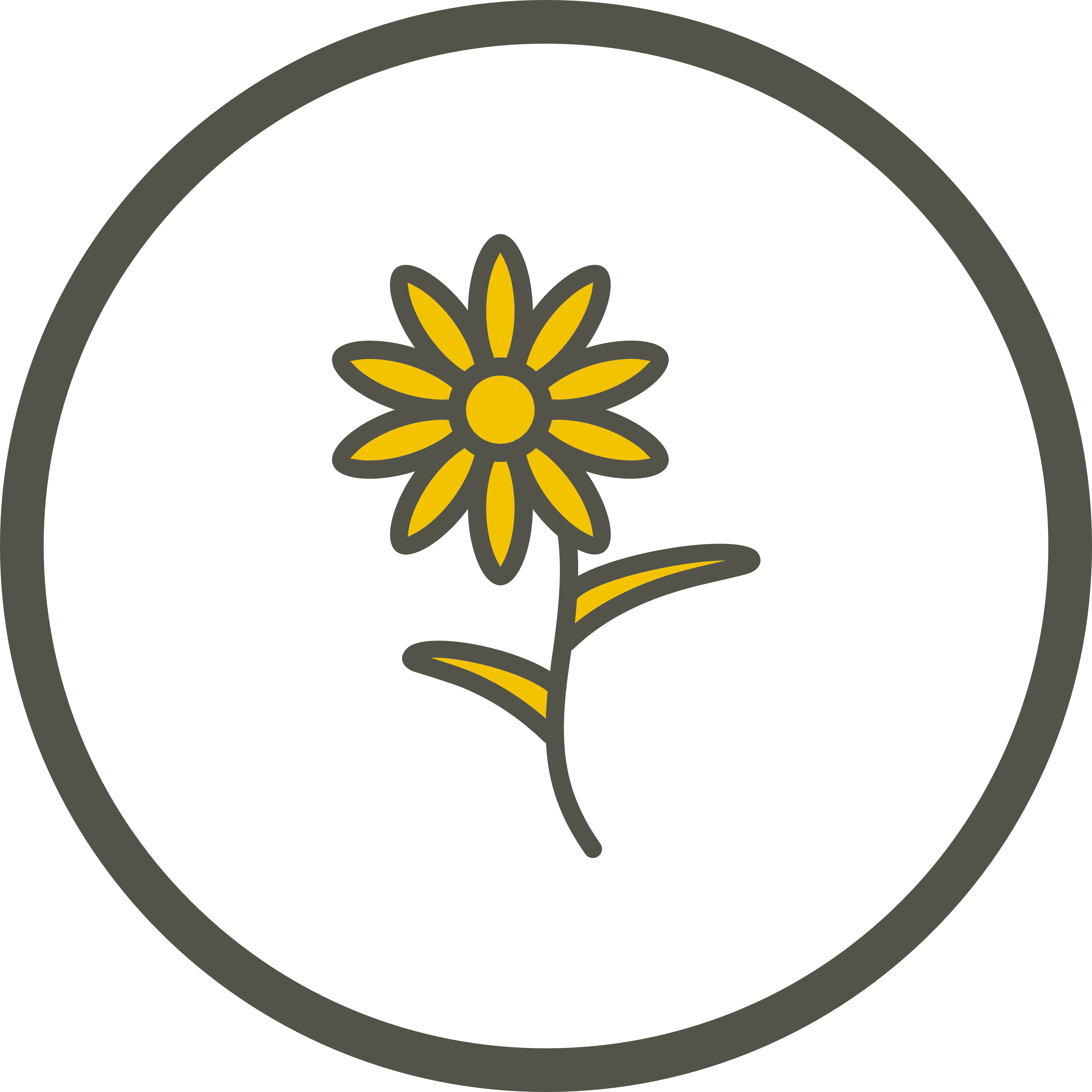 Chamomile Icon