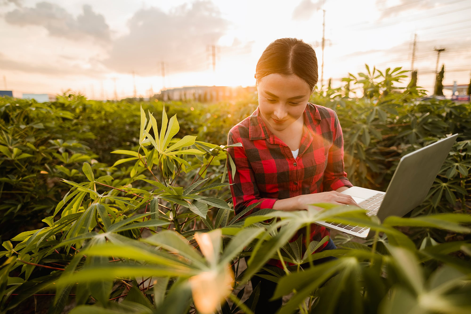 Women in fields