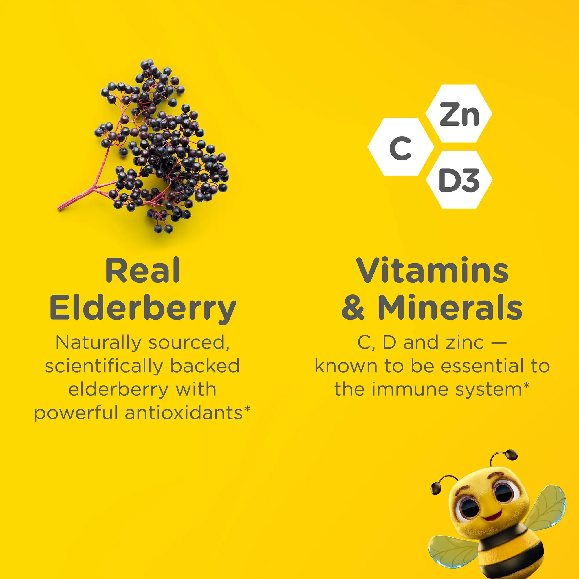 Zarbee’s® Children’s Elderberry Immune Support ingredients