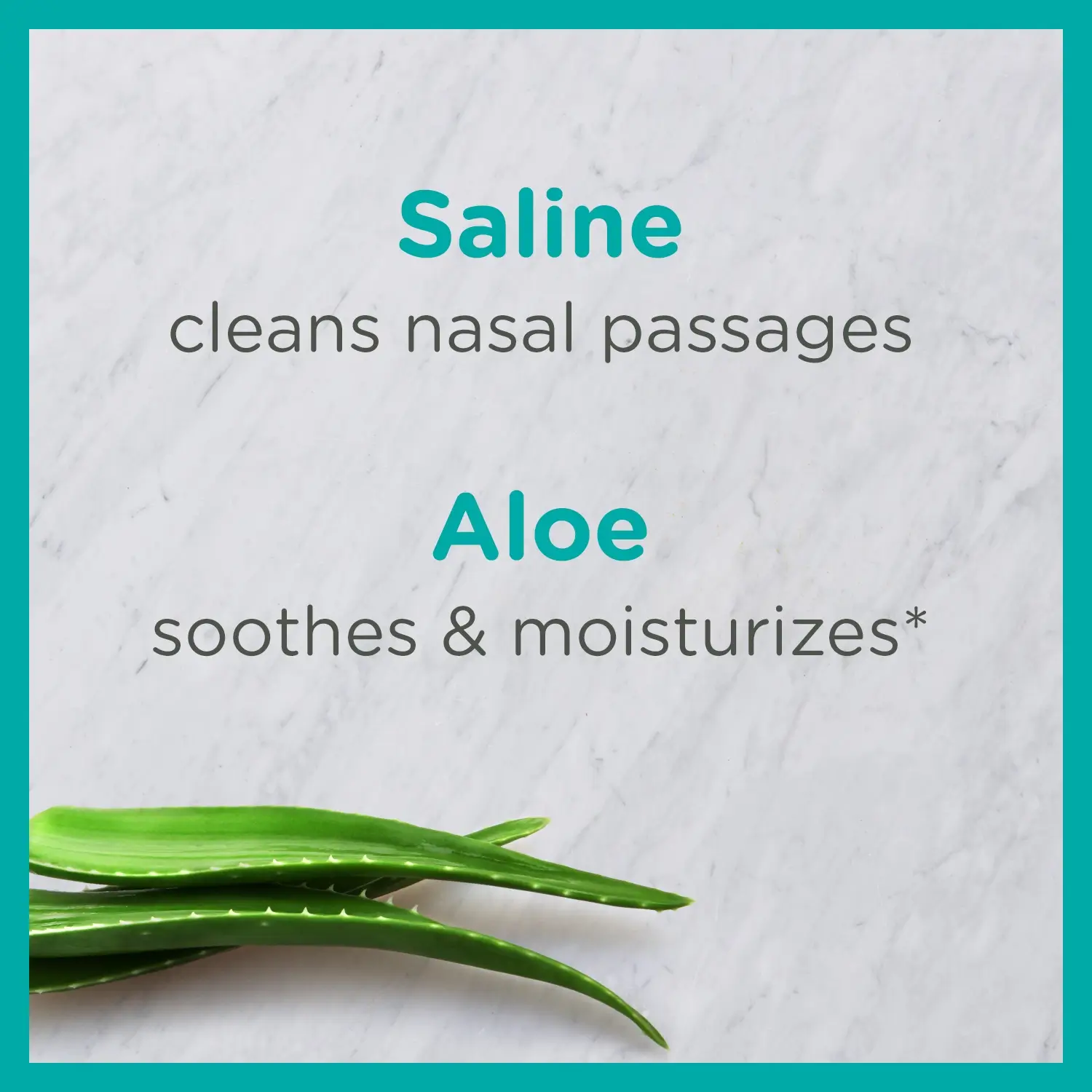 Soothing Saline Nasal Mist with Aloe