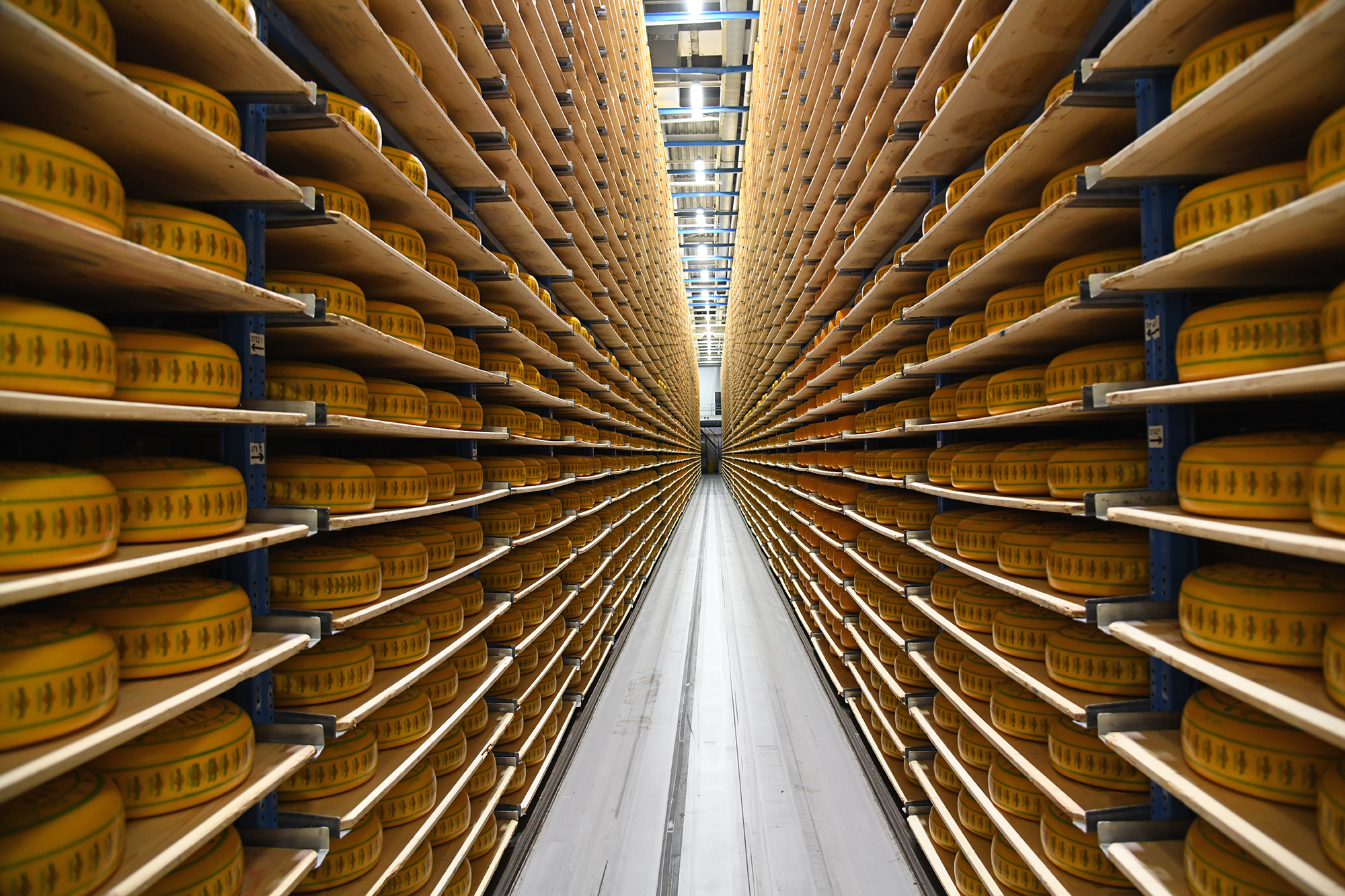 Käselager Laibe (2)