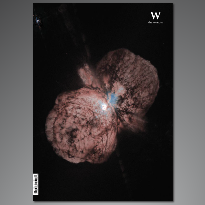 The Wonder Editorial Design | Cristina Susano Portfolio