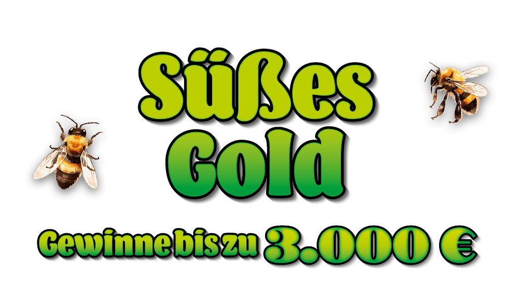 Dieses Bild hat leider keine Beschreibung